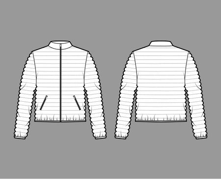 Down puffer coat jacket technical fashion illustration with long sleeves, stand collar, zip-up closure, pockets, hip length, narrow quilting. Flat template front, back, white color. Women, men top CADのイラスト素材