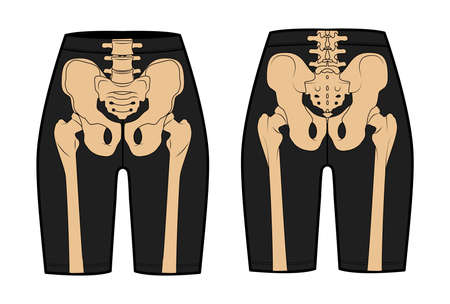 Skeleton costume Human bones on Bike shorts front back view men women children for Halloween, festivals for printing on clothes flat grey color concept Vector illustration of anatomy isolatedのイラスト素材