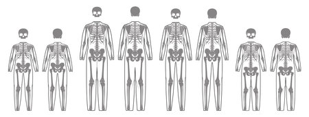 Set of Skeleton costume Human bones with scull front back view men women, children - boy, girl for...