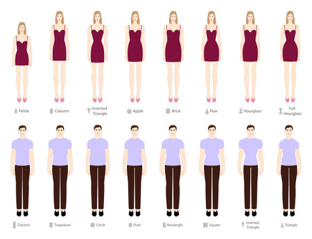 Set of Women Men body shapes types: apple, pear, triangle, column, circle, oval, square, brick, hourglass, round, inverted triangle. Male and Female Vector illustration in cartoon style 9 head sizeのイラスト素材