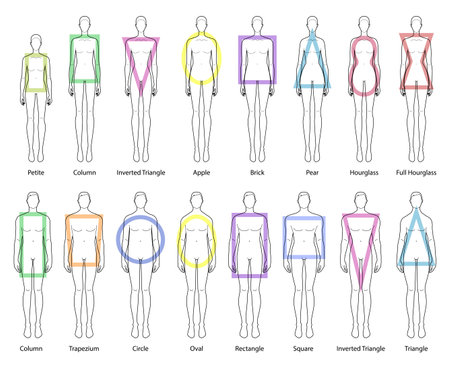 Set of Women and Men body shapes types: apple, pear, inverted triangle, rectangle, column, trapezium, circle, oval, square, brick, hourglass, round, petite. Male and Female Vector illustrationのイラスト素材