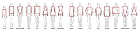 Set of Women Men body shape types. Male and Female Vector illustration style silhouettes 9 head size Gentlemen and lady figure front view. Outline boy and girl for fashion sketching and illustrationのイラスト素材