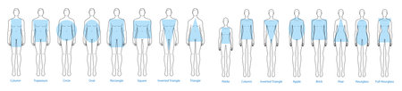 Set of Women Men body shapes types silhouettes: apple, pear, rectangle, column, trapezium, circle, oval, square, brick, hourglass, round, inverted triangle, petite. Male and Female Vector illustrationのイラスト素材