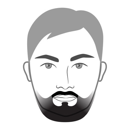Taper Fade Beard style men in face illustration gradual Facial hair mustache. Vector grey black portrait male Fashion template flat barber set. Stylish hairstyle isolated outline on white background.のイラスト素材