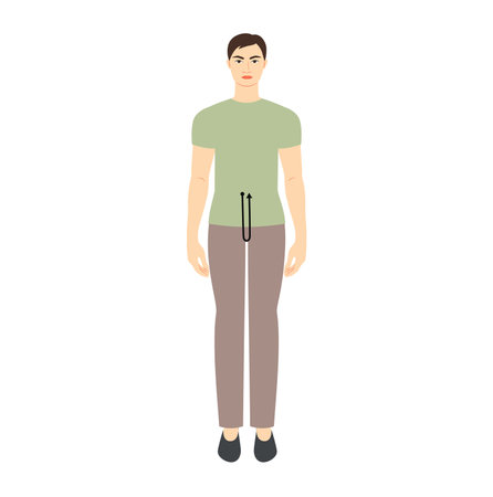 Men to do crotch depth measurement body with arrows fashion Illustration for size chart. Flat male character front 8 head size boy in green shirt. Human gentlemen infographic template for clothesのイラスト素材