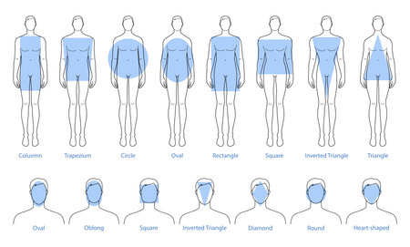 Set of Men face and body shape types - oblong, square, inverted triangle, diamond, round, heart and rectangle shape. Male Vector illustration 9 head size Gentlemen figure. Vector outline boy fashionのイラスト素材