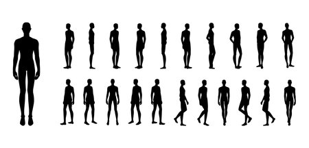 Silhouette and men set body standing and walking fashion Illustration. Flat male and female character collection front, back, side view boy. Human slim Gentlemen infographic templateのイラスト素材