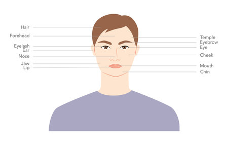 Diagram of man head with names, parts of the face text labeled fashion Illustration Infographic with description. Flat male character front side boy scheme. Human Gentleman infographic templateのイラスト素材