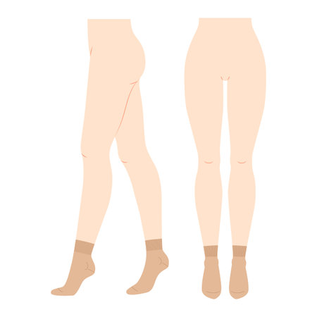 Ankle Socks Set on women legs. Hosiery Fashion accessory clothing technical illustration stocking. Vector front, side view, flat template mockup sketch outline isolated on white backgroundのイラスト素材