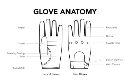 Gloves Anatomy diagram with labeled parts showing technical illustration of glove components. Vector illustration in flat line drawing style isolated on white backgroundのイラスト素材