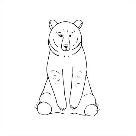 Bear, vector illustration, hand drawingのイラスト素材