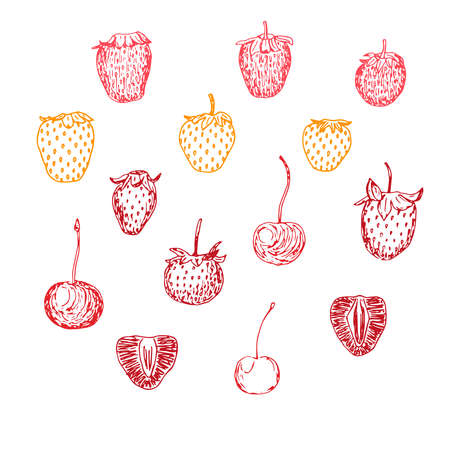 Set of strawberry and cherry berries, vector illustrationのイラスト素材