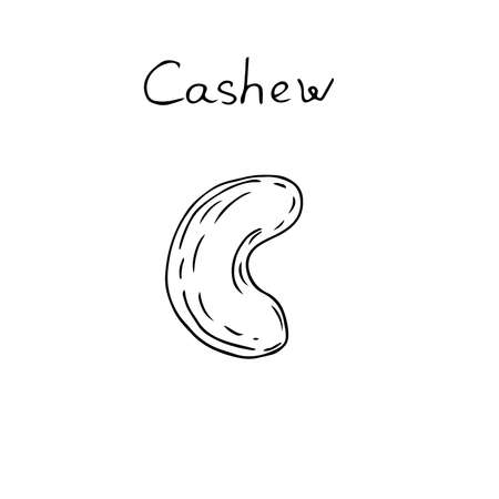 Cashew nut vector illustration hand drawing sketchのイラスト素材