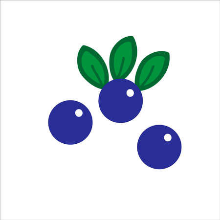 Ripe blueberry, vector flat illustrationのイラスト素材