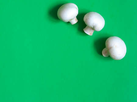 Three champignons on a green background copy spaceの写真素材