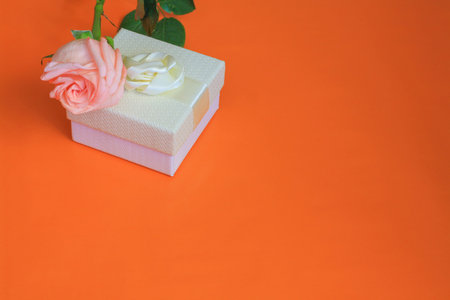 Pink rose and white gift box on an orange background copy space