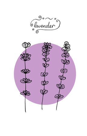 Set of three sprigs of lavender vector illustration sketch purpleのイラスト素材