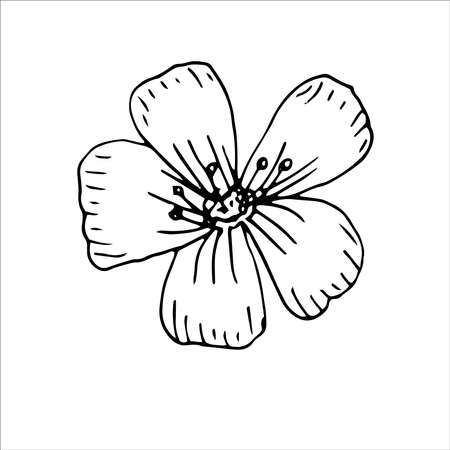 Flax flower vector illustration hand drawing sketchのイラスト素材