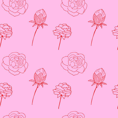 Peony seamless pattern vector illustration hand drawn sketch pink colorのイラスト素材