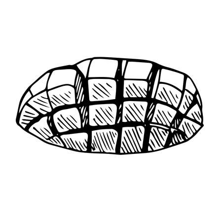 Mango slice vector illustration hand drawn sketchのイラスト素材