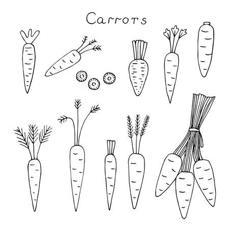 Carrot set vector illustration hand drawing doodlesのイラスト素材