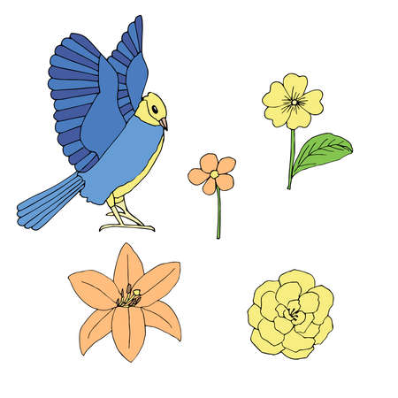 Bird and flowers set vector illustration, hand drawing sketch coloredのイラスト素材