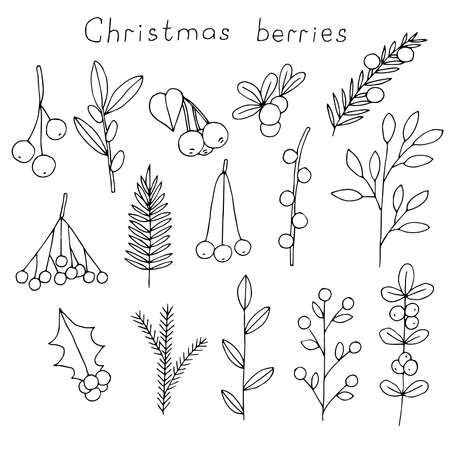 Christmas berries set vector illustration, hand drawing doodlesのイラスト素材