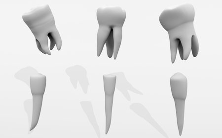 Teeth. Dentistry Implantation, dental treatment. 3D rendering.
