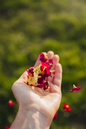 Spring mood. The girl throws flowers in the palm of her hand. Hand holds many flowers, green grass...