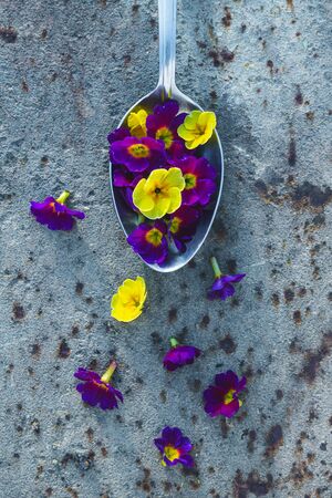 spoon with little spring flowers lies on a gray background. View from above. Close-up. spring conceptual still lifeの写真素材