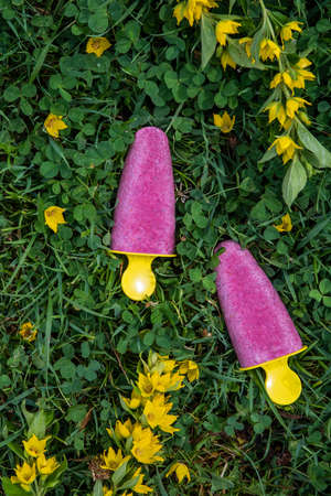 Refreshing colorful homemade ice lolly with berries and mint on a green grass and yellow flower background, top view, copy spaceの写真素材