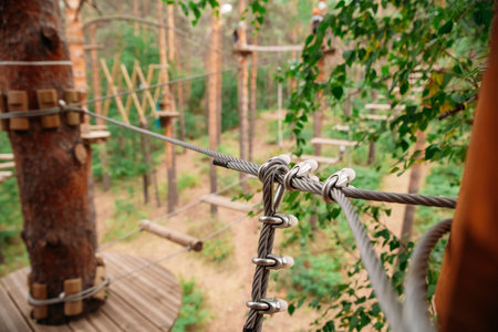 Rope park. System for attaching cables to trees close-upの写真素材