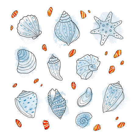 Illustration with set of cute watercolor and linework blue seashells on white background. Hand drown marine artwork with small orange stones around. Ocean beach elements for your design, blog, printの写真素材