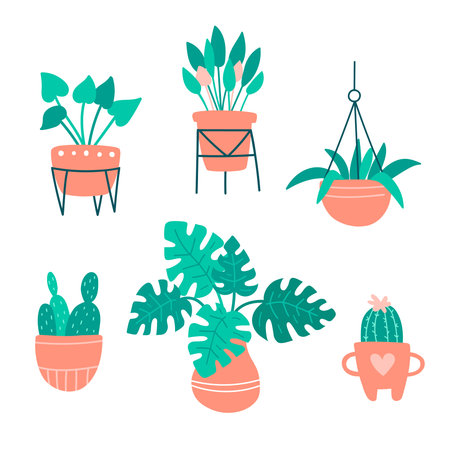 Cute doodle illustration with home potted plants set. Vector artwork. Plants in ceramic pots. Home garden with cactus, palm, succulents. Elments for interior and decoration. For stickers, designのイラスト素材