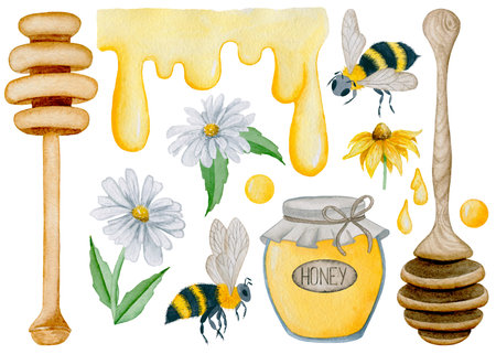 6002 Honey and bees watercolor elements clipart, illustrationの写真素材