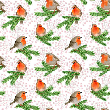 Robin bird on a fir branch. Winter watercolor seamless patternの写真素材