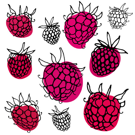 Black and white pattern with raspberry. Hand drawn ink outline raspberry with color spots.のイラスト素材