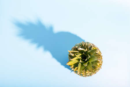 pineapple with a hard trendy shadow on a blue background. summer concept. copy space, minimalism, top view.の写真素材