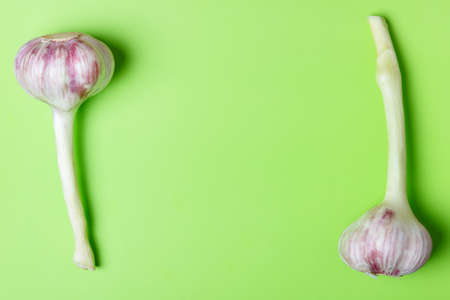 Young garlic on a green background. Vitamins for health. Copy space.の写真素材