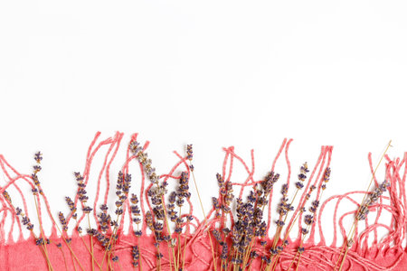 dry lilac lavender flowers and pink scarf on a white background. Cozy autumn concept. copy space,...
