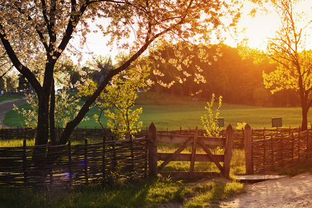 Old fence on meadow at sunset in springの写真素材