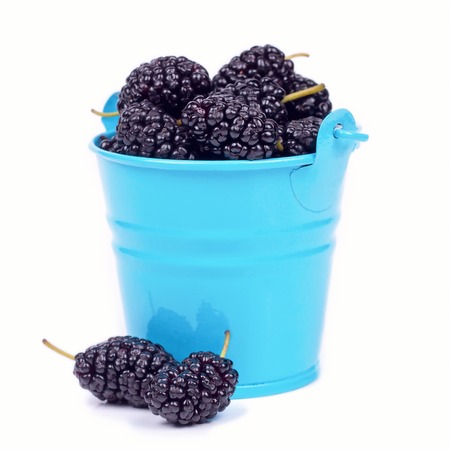 mulberry berries in a small blue bucket isolated on white backgroundの写真素材