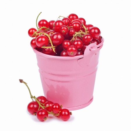 Red currantberries in a small pink bucket isolated on white backgroundの写真素材