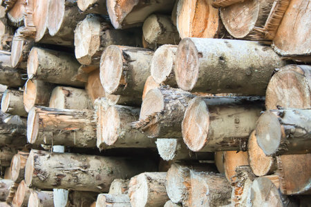 the stack of the dry firewood for furnace kindling