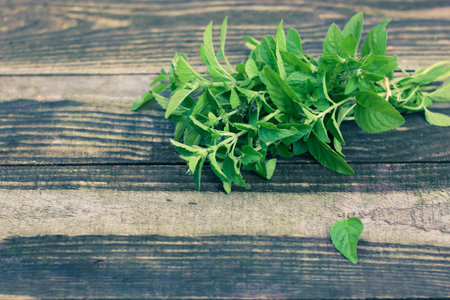 Fresh mint leaves herb on wooden background with copy space. vintage filtered.の写真素材