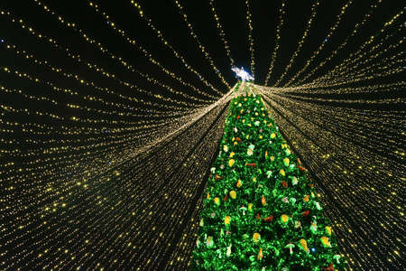 Holiday lights of the city Christmas tree at night on central city square, Kyiv, Ukraine . new year backgroundの写真素材