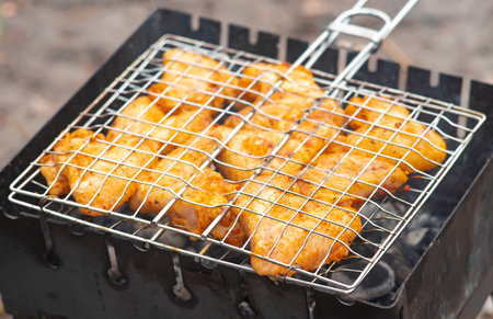 Grilled bird meat on grill. Wings of chicken, turkey, duck, quail, pigeon. Popular restaurant recipes for dietary cuisine. Family dinner and rest, picnic, barbecue, grill. Festive bird dinner.の写真素材
