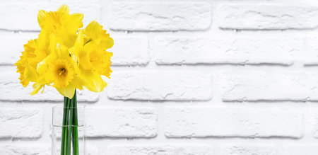 Bouquet of yellow bright daffodils flowers, Easter bells in vase on white brick background. blooming spring flowers. Mockup, template for holiday, birthday, mother's day. Banner, header, copy space.の写真素材