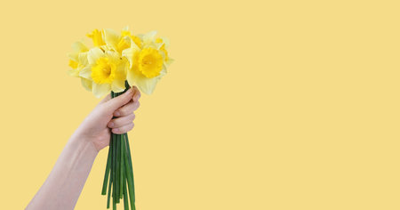 Hand hold bouquet of yellow daffodils flowers, Easter bells isolated on yellow background. blooming spring flowers. Mockup, template for holiday, birthday, mother's day. Banner, header with copy spaceの写真素材