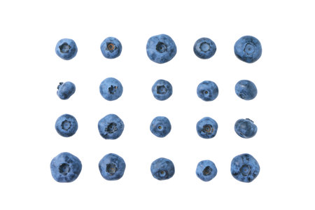 Set of different fresh blueberries isolated on white background, top view, flat lay. Organic berries, healthy food, wild berryの写真素材